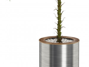 Plants collection 510 3Dモデル