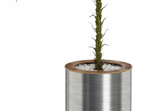 Plants collection 510 3D Model