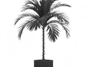 Plants collection 510 3D Model