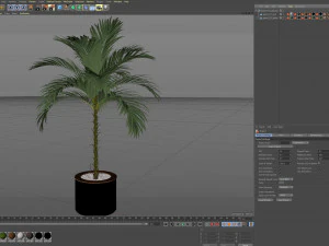 Plants collection 510 3D Model