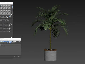 Plants collection 510 3D Model