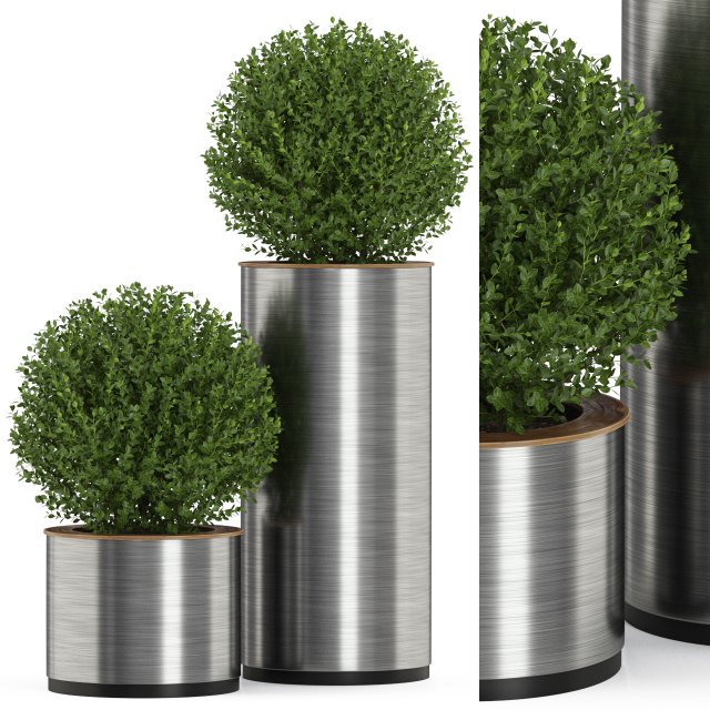 Plants collection 511 Modèle 3D .c4d .max .obj .3ds .fbx .stl .blend 