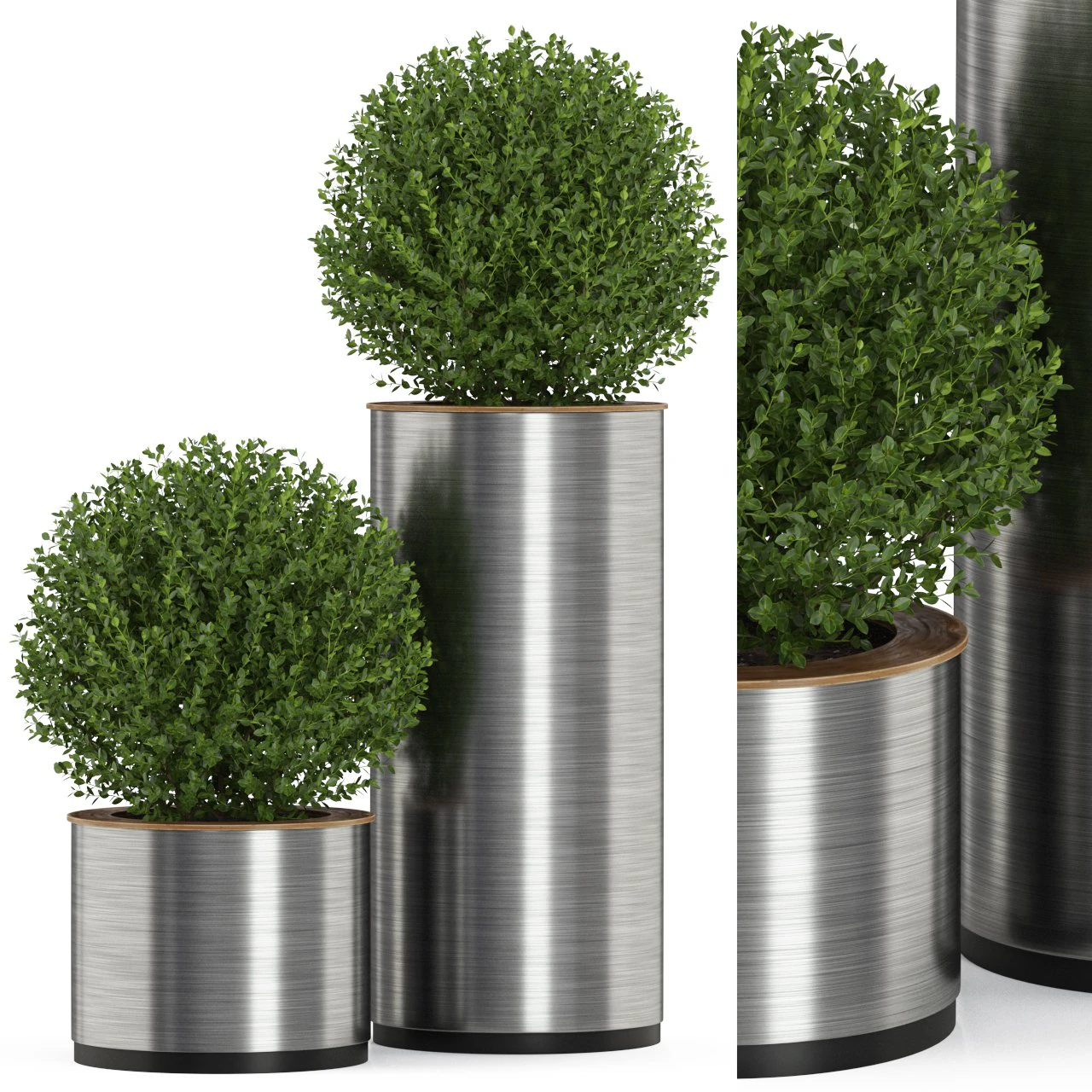 Plants collection 511 3D Model .c4d .max .obj .3ds .fbx .stl .blend 