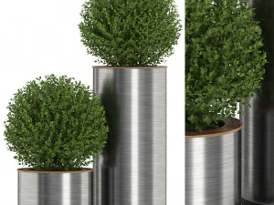 Коллекция растений 511 3D Модель