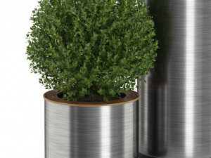 Plants collection 511 Modèle 3D