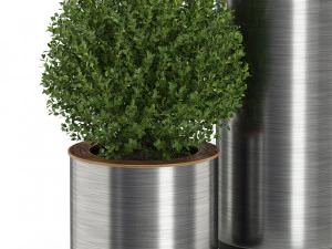 Plants collection 511 3D Model