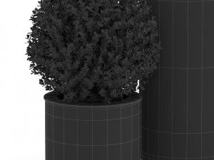 Plants collection 511 3D Model