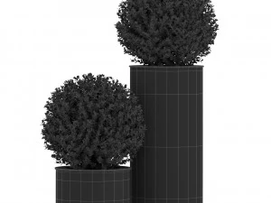 Plants collection 511 3D Model