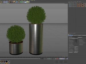 Plants collection 511 3D Model