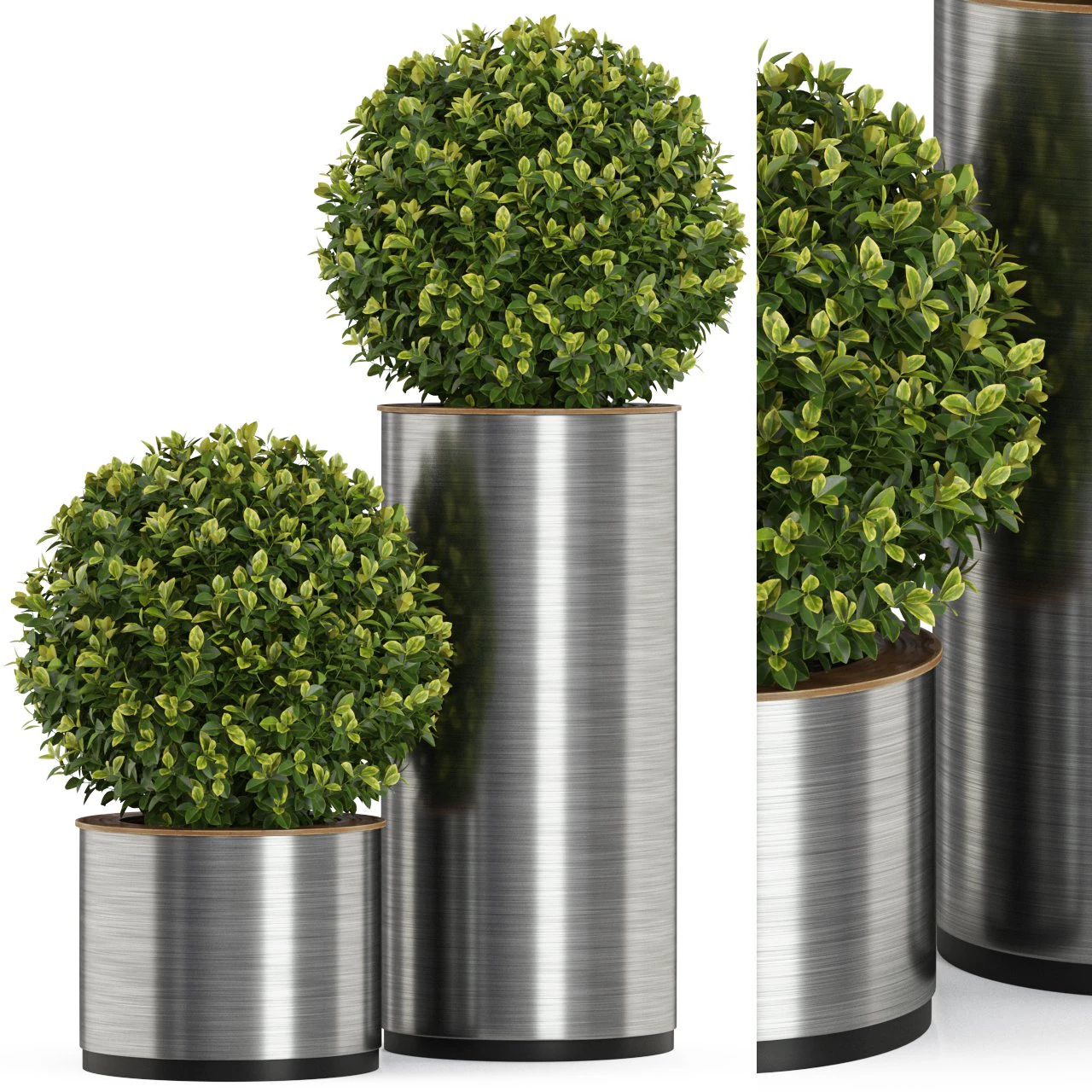 Plants collection 512 3D Model .c4d .max .obj .3ds .fbx .stl .blend 