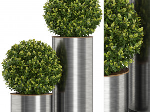 Plants collection 512 3D Model