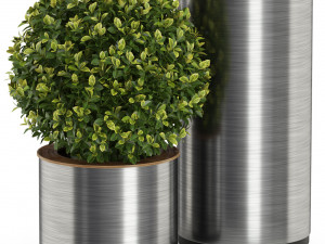 Plants collection 512 3Dモデル