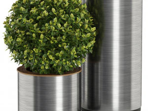 Plants collection 512 3D Model