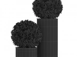 Plants collection 512 3D Model