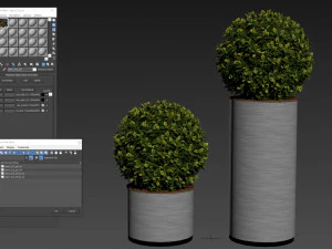 Plants collection 512 3D Model