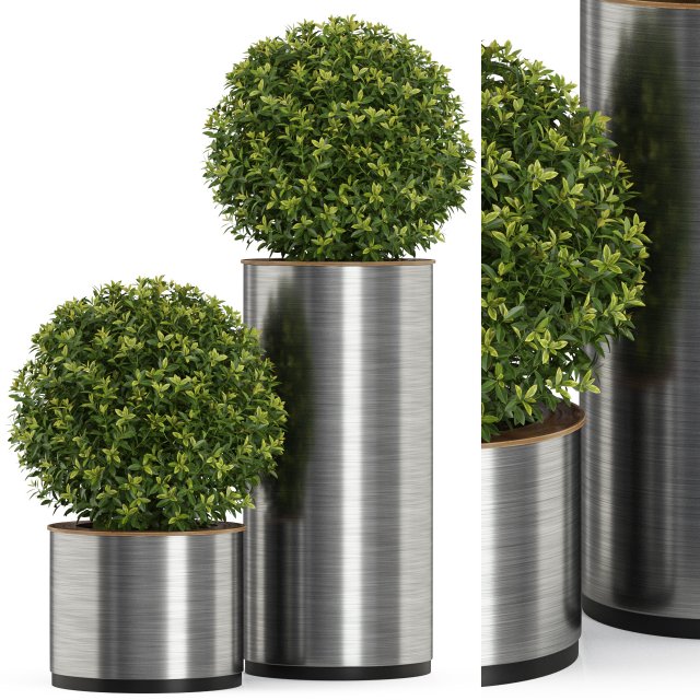 Plants collection 513 3D 模型 .c4d .max .obj .3ds .fbx .stl .blend