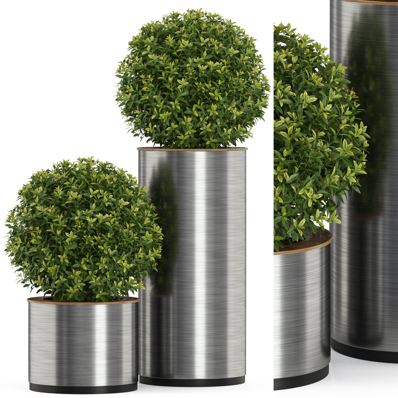 Cole&ccedil;&atilde;o de plantas 513 Modelo 3D .c4d .max .obj .3ds .fbx .stl .blend 