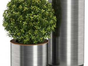 Cole&ccedil;&atilde;o de plantas 513 Modelo 3D