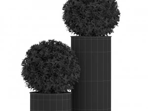 Cole&ccedil;&atilde;o de plantas 513 Modelo 3D