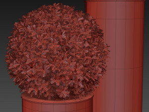 Plants collection 513 3D 模型