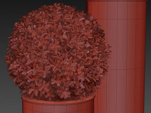 Cole&ccedil;&atilde;o de plantas 513 Modelo 3D