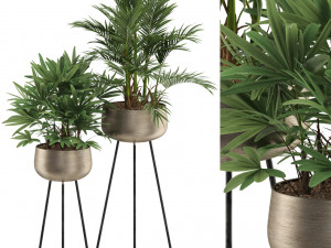 Plants collection 514 3D Модель