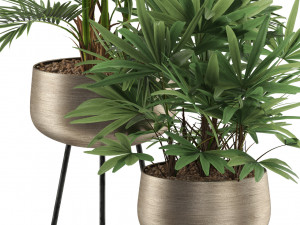 Plants collection 514 Modelo 3D