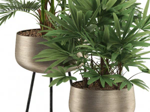 Plants collection 514 3D Model