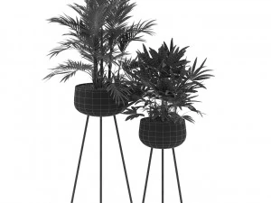 Plants collection 514 3D Model