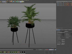 Plants collection 514 Modelo 3D