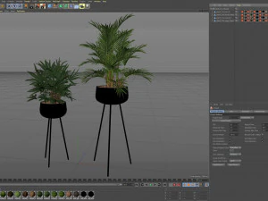 Plants collection 514 3D Model