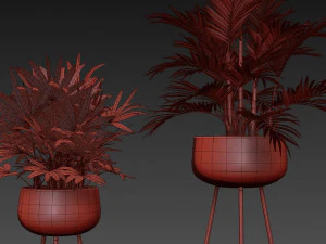 Plants collection 514 3D Model