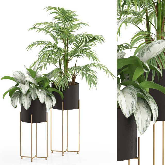 Plants collection 515 3D मॉडल .c4d .max .obj .3ds .fbx .stl .blend 