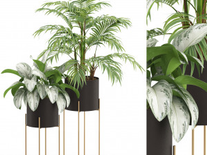 Plants collection 515 3Dモデル