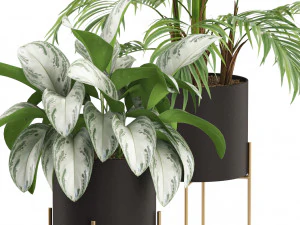 植物コレクション 515 3Dモデル