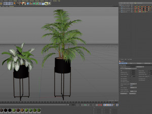 Plants collection 515 3D मॉडल