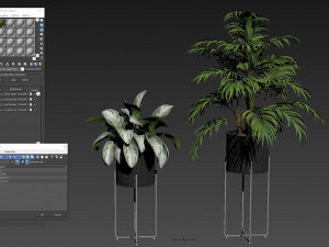 Plants collection 515 3D मॉडल