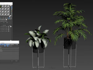 植物コレクション 515 3Dモデル
