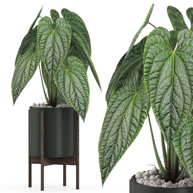 Plants collection 516 3D 모델 .c4d .max .obj .3ds .fbx .stl .blend 