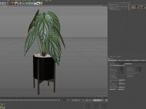 Plants collection 516 3D 모델