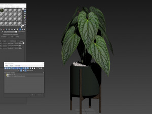 Plants collection 516 3D 모델