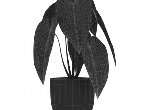 Plants collection 517 3D Model