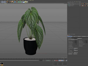 Plants collection 517 Modello 3D