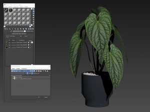 Plants collection 517 3D Model