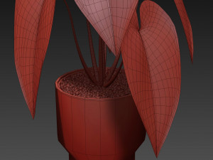 Plants collection 517 Modello 3D