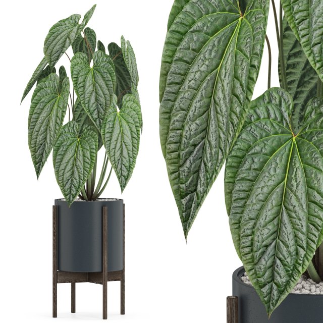 Plants collection 518 3D Model .c4d .max .obj .3ds .fbx .stl .blend 