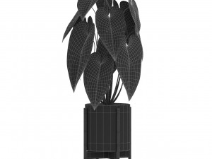 Plants collection 518 3D Model
