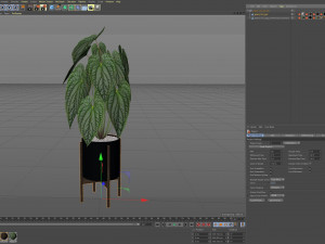 Plants collection 518 3D Model