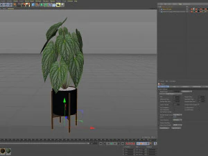 Plants collection 518 3D Model