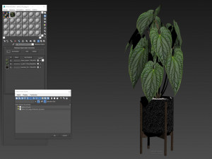 Plants collection 518 3D Model